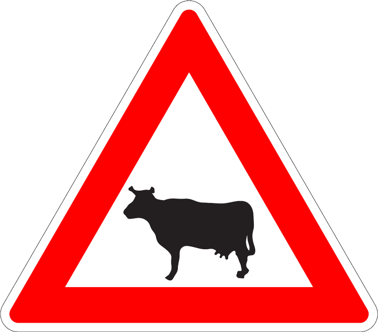 pozor dobytok